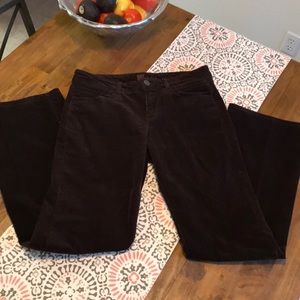 Kut From the Kloth Size 8 Dark Brown Corduroy Pant